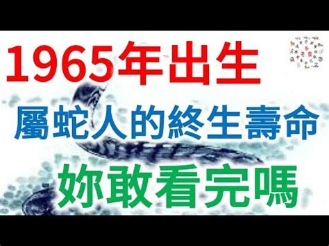 1965屬什麼